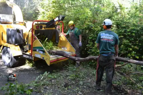 tree services North Little Rock